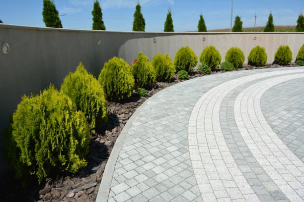 Reasons to Select Us for Your Driveway Paving Requirements in Lindsay, TX